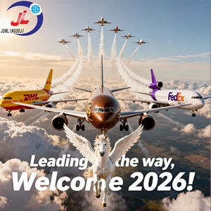 DHL FedEx UPS Express Freight Forwarder voor veilige en snelle deur-tot-deur verzending vanuit China naar CA/Canada FCL LCL DDU DDP diensten - Product Image 2