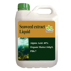 Fabricante chino de fertilizantes líquidos orgánicos fertilizante de extracto de algas marinas de alta calidad con línea de producción estricta