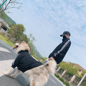 אופנה גדול גזע אדם בעל התאמת כלב מחמד מעגל מוצרים נים ספק חיות מחמד אבזרים - Product Image 5