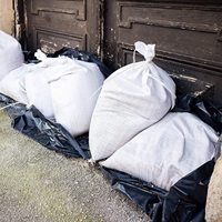 أكياس منسوجة من البولي بروبيلين البلاستيكي الأبيض للحبوب تستخدم في الزراعة للذرة والحبوب سعة 50 كجم مقاس 60*110 سم