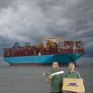 Frete Marítimo Internacional LCL FCL, Taxas de Envio de Carga da China para a Espanha e Equador - Product Image 6