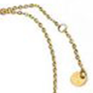Collana in acciaio inossidabile con diamanti, ciondolo con segno zodiacale Capricorno per donna, gioielli raffinati, 12 pezzi - Product Image 6