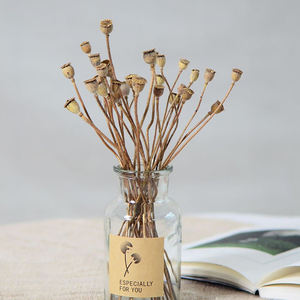 Ogni amore ha asciugato i rami di frutta il Bouquet di fiori naturali la disposizione dei fiori di nozze la casa la decorazione dei fiori - Product Image 4