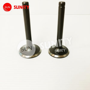 TAIWAN SUNITY soupape d'aspiration TS130 de haute qualité OEM 104600-11100 - Product Image 1