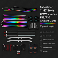 Pour BMW Galaxy Dynamic Led Ambient Light pour F10/F18 Série 5 2011-2017 Système de contrôle de l'éclairage intérieur LED Accessoires de mise à niveau