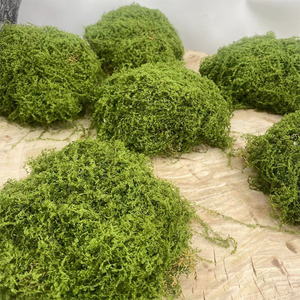 8 Piezas de <span class=keywords><strong>Musgo</strong></span> <span class=keywords><strong>Artificial</strong></span> para Decoración de Micro Paisajes y Bonsáis, Follaje <span class=keywords><strong>Artificial</strong></span> Realista - Product Image 2