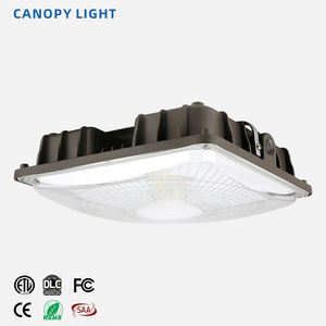 Lumière de canopée LED moderne en gros 20/40/60/80/100W, haute luminosité, lumière de station-service, certifications complètes pour garage, entrepôt - Product Image 1