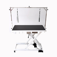 LZ Grandes tables de toilettage électriques à chaud pour chiens avec prise Table de toilettage pour chiens à vendre Groomer Pet Salon Pet Shop 1pcs