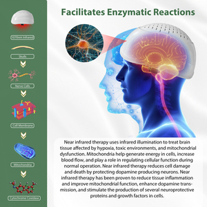 Luz Infrarroja LED NIR <span class=keywords><strong>de</strong></span> 1070nm, Fotobiomodulación Láser Cercana al Cerebro (PBM) para la Pérdida <span class=keywords><strong>de</strong></span> Memoria, Trastornos <span class=keywords><strong>de</strong></span> <span class=keywords><strong>Ansiedad</strong></span> y Depresión - Product Image 2