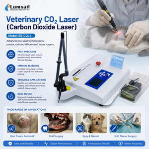 Dispositivo Láser de CO2, Instrumento Veterinario para Cirujano Veterinario - Product Image 2
