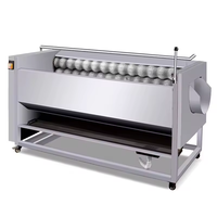 Machine à éplucher les fruits électrique automatique commerciale pour nettoyer les pommes de terre éplucher les racines des lotus ail manioc oignons