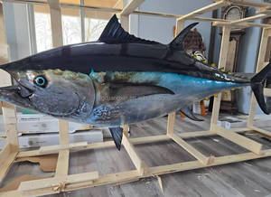 3D gerçekçi reçine Tuna duvar sanatı canlı el-boyalı balık heykel kıyı oturma odası plaj Bar deniz ürünleri restoran dekor - Product Image 4