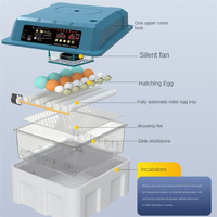 Nouvel incubateur d'œufs automatique miniature pour usage domestique, design transparent, taux d'éclosion élevé, double alimentation, pour l'éducation des enfants, petite échelle