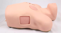 Modelo de Simulación de Punción Pleural y Drenaje Torácico para Descompresión de Neumotórax y Drenaje Torácico Cerrado, con Certificación CE/ISO
