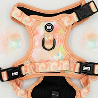 Harnais pour chien Sunraymascota en néoprène floral anti-traction, ensemble réglable, respirant, réfléchissant, avec laisse et collier, gilet rembourré doux pour animaux de compagnie
