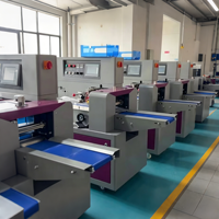 Machine d'emballage horizontale automatique à grande vitesse pour nouilles instantanées, spaghetti, pâtes
