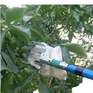 Polo telescopico in fibra di carbonio per trattare <span class=keywords><strong>calabrone</strong></span> asiatico vespe (<span class=keywords><strong>vespa</strong></span> Velutina) - Product Image 4