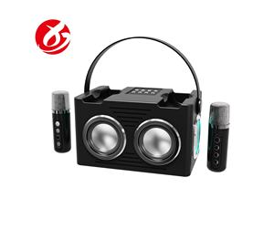 Altavoz Portátil Bluetooth con 2 Micrófonos, Reproductor de Audio Karaoke con Doble Bocina de 2*8W, V5.3, para Fiestas al Aire Libre - Product Image 2