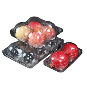 Disposable clear fruit clamshell packaging box plastic fruit packing containers recycled container for fruits
