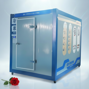 Chambre Froide Mobile de Haute Qualité avec Panneaux d'Isolation PIR/PUR pour Congélation Rapide - Product Image 1