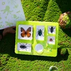 Espécimen de taxidermia con pisapapeles de Ocean World en resina, regalo del insecto, recursos didácticos, juguetes naturales, suministros educativos - Product Image 5