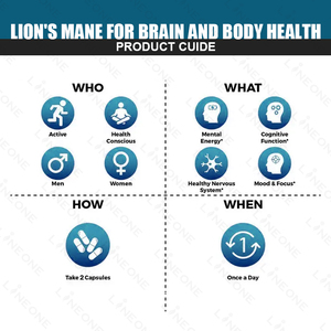 Oem nootropic bổ sung sư tử của bờm nấm viên nang chiết xuất Vegan viên nang nhãn hiệu riêng Bộ nhớ não hỗ trợ sư tử bờm - Product Image 4