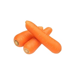 2025 carottes fraîches biologiques sans pesticides cultivées riches en bêta-carotène goût croquant pour la vente au détail et l'industrie alimentaire - Product Image 5