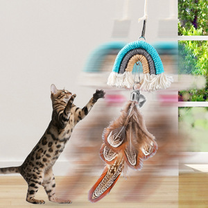 Brinquedo para Gatos de Porta com Balanço Elástico Arco-Íris e Fecho de Velcro para Diversão Mãos-Livres - Product Image 3