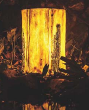 3d <b>Tree</b> Stump Shaped Led <b>Light</b> Customized Ip65 Resin & Fiberglass <b>Outdoor</b> Garden Lighting For <b>Christmas</b> Festival Decorations - Product Image 1