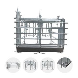 Nouvelle cage de gestation HengYin HY-AFS galvanisée à chaud pour élevage porcin, avec porte arrière, longue durée de vie, certifiée CE - Product Image 3