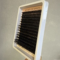 Nouveautés Extensions de cils en vison 18-25mm, Vente en gros, Marque privée, Extensions de cils supérieurs et inférieurs, Clusters de cils inférieurs effet pointe