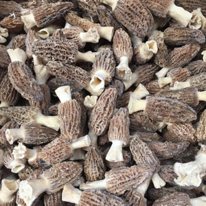 Chine Exportation de champignons sauvages congelés DETAN champignons <span class=keywords><strong>morilles</strong></span> sauvages congelés <span class=keywords><strong>Prix</strong></span> de gros - Product Image 3
