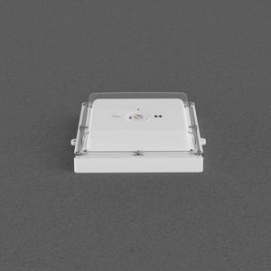 Lampe de secours extérieure CE 3W lampe LED version froide <span class=keywords><strong>luminaires</strong></span> de secours IP65 Non entretenu D63 3 heures - Product Image 6