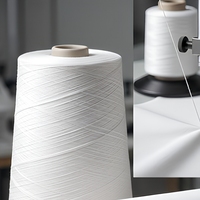Fil à coudre 100% polyester filé 40/2 blanc brut / Fil à coudre Hilos De Coser Échantillon gratuit TKT120 40s/2 50/2 pour la couture de vêtements à grande vitesse
