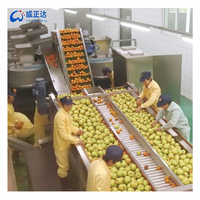Automatische natuurlijke fruitverse marula mango sap maakplant machine proces sap productielijn prijs