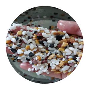 Jardin <span class=keywords><strong>pavé</strong></span> couleur paysage naturel décoré de galets autre paysage pierre <span class=keywords><strong>allée</strong></span> couleur <span class=keywords><strong>gravier</strong></span> - Product Image 1