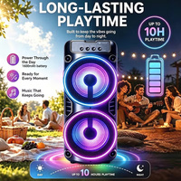 Boîte de karaoké portable professionnelle pour fêtes, avec haut-parleur, microphone, caisson de basses, lumières LED, corps en plastique, idéale pour les anniversaires