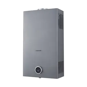 Nuovo stile 10 L/min intelligente controllo digitale gpl/NG canna fumaria a temperatura controllata scaldabagno a Gas senza serbatoio