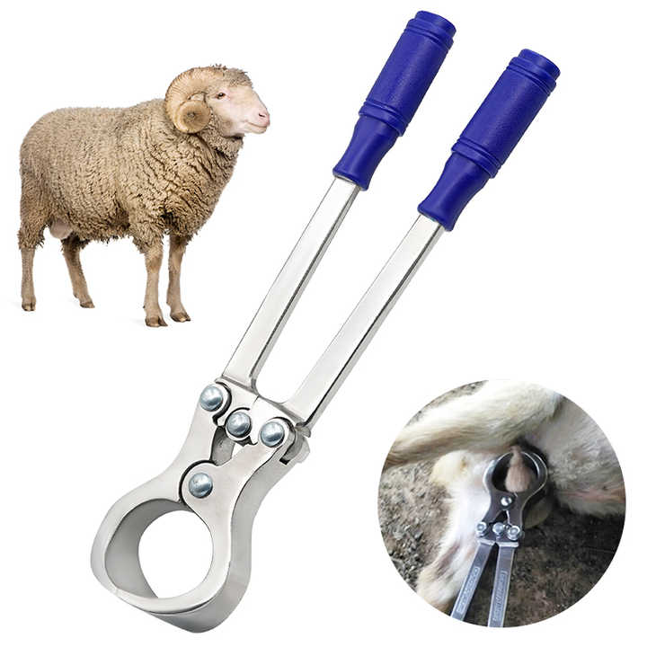 High-Quality Stainless Steel Forceps Animal Castration Tool Goat Sheep Castration Forceps
