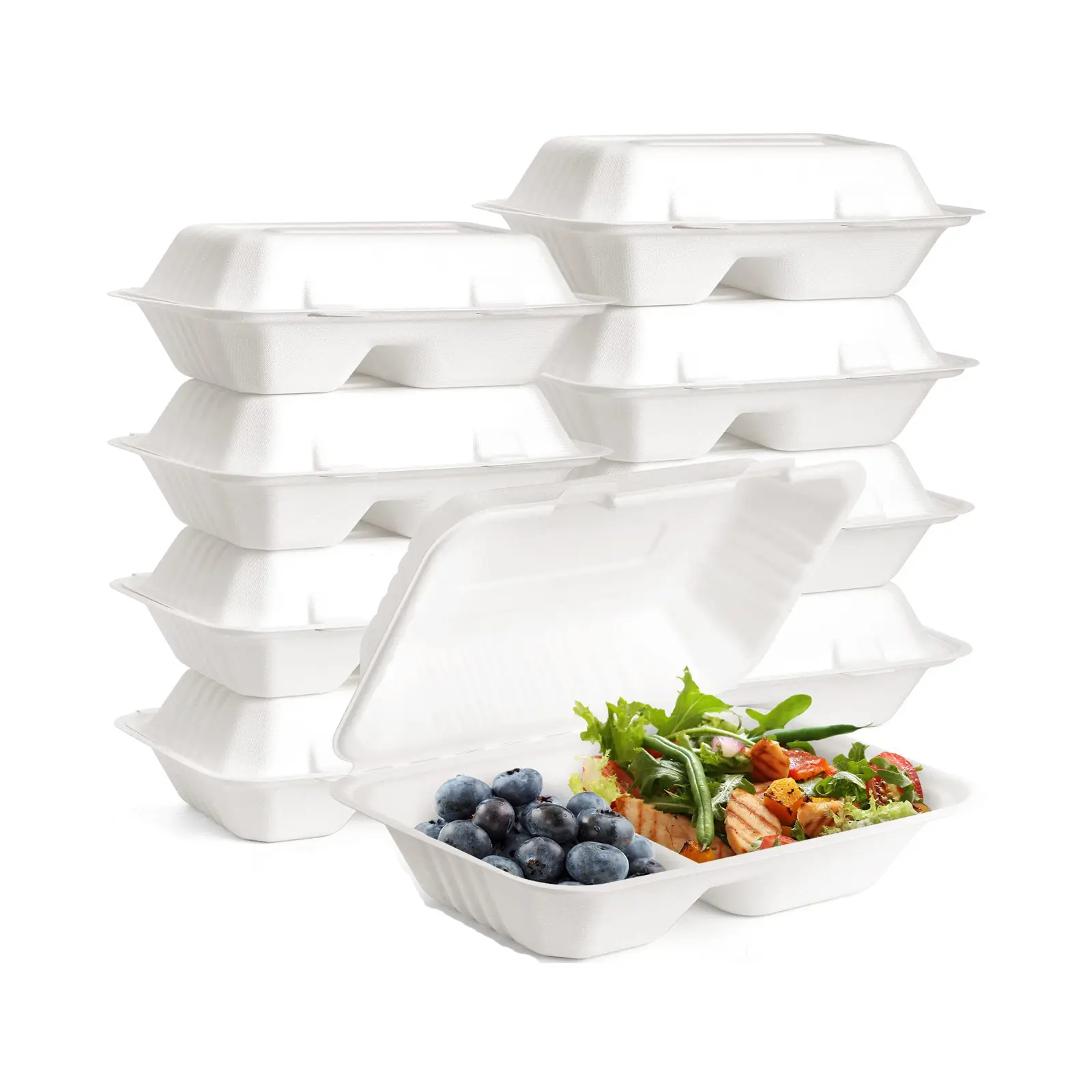 حاوية طعام للطعام قابلة للتحلل الحيوي صندوق قصب السكر الأبيض/الطبيعي مع قسمين