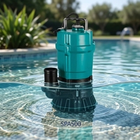 Pompe à eau submersible électrique, pompe souterraine, pompe électrique, série en fonte, accouplement pour eaux usées et déchets