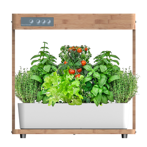 Équipement hydroponique intelligent en bambou, 40 w, système <span class=keywords><strong>de</strong></span> culture hydroponique, éclairage naturel pour jardin intelligent - Product Image 2