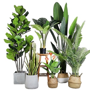 Planta Artificial Plantas Artificiais Em Vaso Árvores Plantas Plásticas Folha Árvore Falsa para Interior Home Decor - Product Image 6