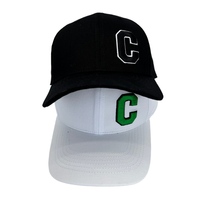 Casquette de baseball unisexe personnalisée OEM en gros, broderie 3D, 6 panneaux, 100 % coton, réglable, style mode