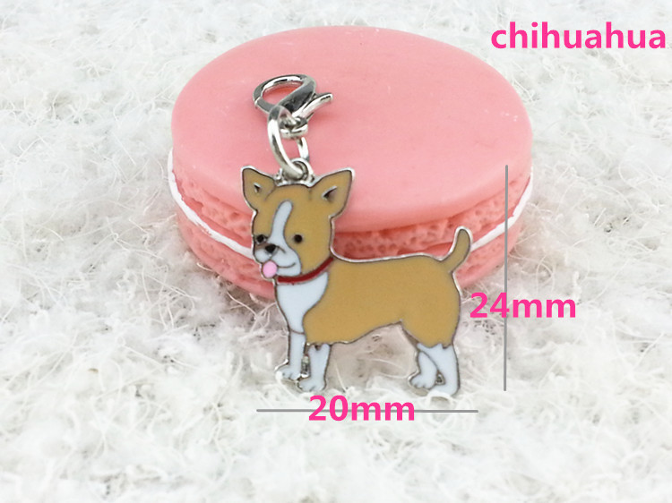 Chihuahua Yellow color