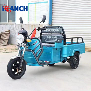 2023 vente en gros mobilité Tricycle électrique E Scooter personnes handicapées trois roues vélo 2 passagers Scooter électrique à vendre - Product Image 2