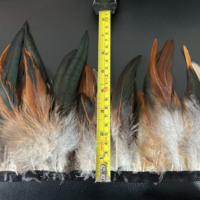 Franges de plumes de coq de 6 à 8 pouces, teintes en gros, de différentes couleurs, pour carnaval, garniture de plumes de poulet
