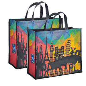 Ventes en gros de sacs de shopping en PP tissé recyclé écologiques personnalisés imprimés, vente chaude en provenance du Vietnam - Product Image 2