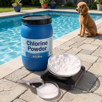 E20260812 Poudre chimique fiable à 90 % de pureté pour un traitement efficace de l'eau de piscine