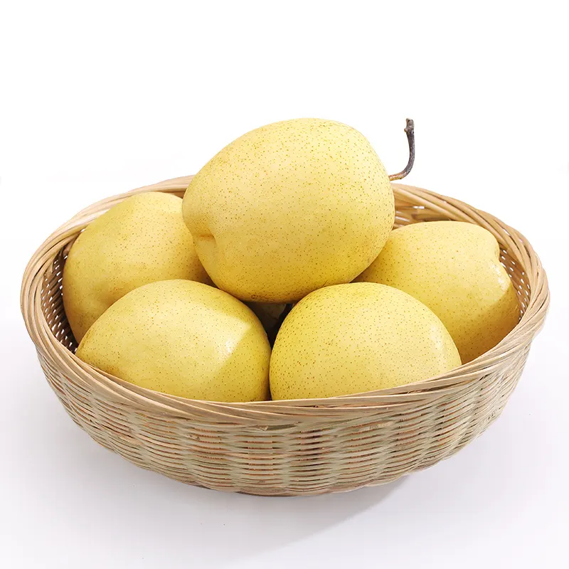 Supply China fresh snow pear